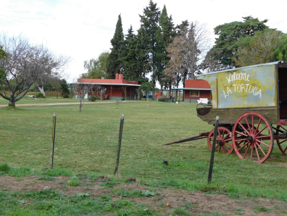 La Tortuga Turismo Rural Daire Carmelo Dış mekan fotoğraf